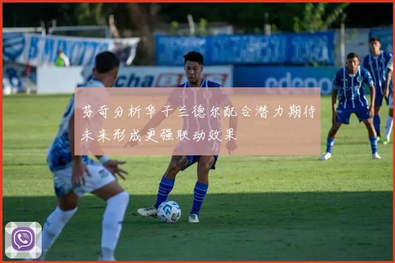芬奇分析华子兰德尔配合潜力期待未来形成更强联动效果
